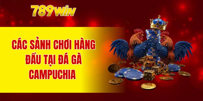 Các sảnh chơi hàng đầu tại đá gà Campuchia 