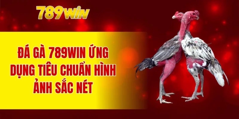 Đá gà 789WIN ứng dụng tiêu chuẩn hình ảnh sắc nét