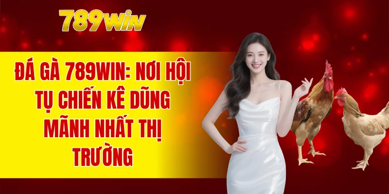 đá gà 789WIN