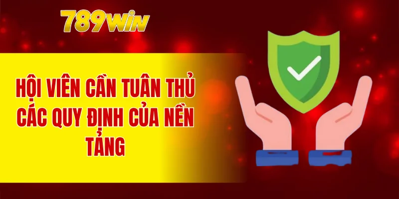 Hội viên cần tuân thủ các quy định của nền tảng