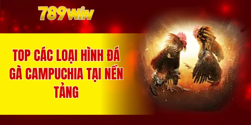 Top các loại hình đá gà Campuchia tại nền tảng